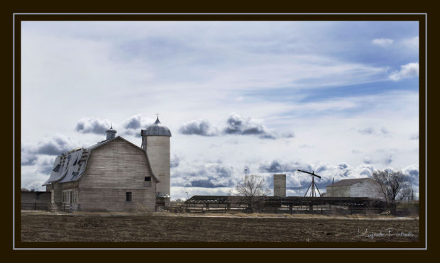 Barn